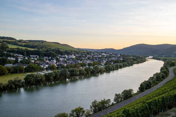 Panorámás Kilátás Nyílik Moselle Völgyre Borfaluval Brauneberg Háttérben Egy Napos — Stock Fotó
