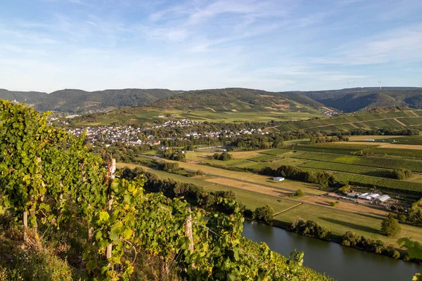 晴れた秋の日に背景にワイン村Muelheimとモゼル渓谷のパノラマビュー — ストック写真