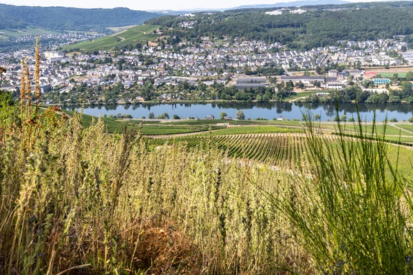 Vista panorâmica no vale do rio Moselle — Fotografia de Stock