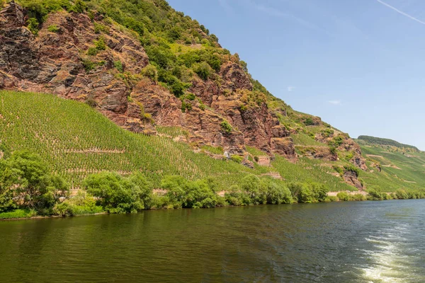 Moselle folyó Zeltingen-Rachtig közelében, Németország — Stock Fotó