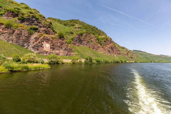 Moselle folyó Zeltingen-Rachtig közelében, Németország — Stock Fotó