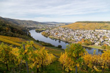 Bernkastel-Kues ve Moselle nehri sonbaharda çok renkli.