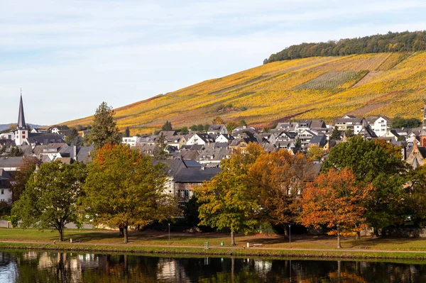 Bernkastel-Kues i rzeka Moselle jesienią z wielu kolorów — Zdjęcie stockowe