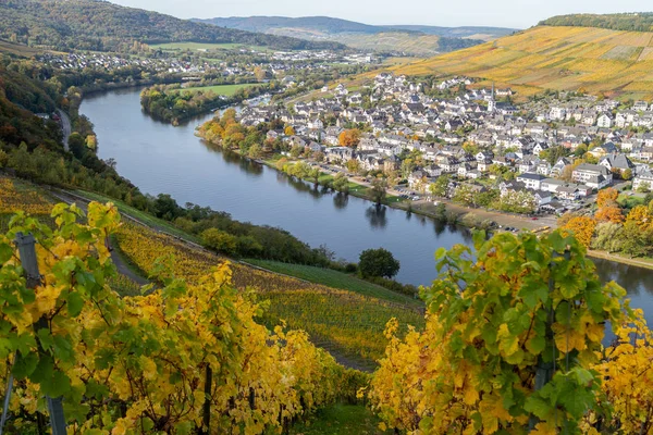 Bernkastel-Kues i rzeka Moselle jesienią z wielu kolorów — Zdjęcie stockowe
