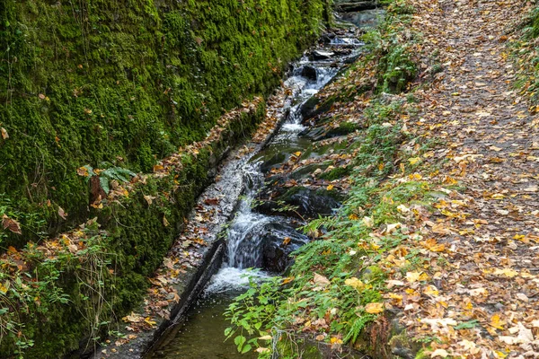 The creek Tiefenbach near Bernkastel-Kues on river Moselle in au — Stock Photo, Image