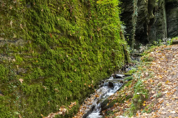 El arroyo Tiefenbach cerca de Bernkastel-Kues en el río Mosela en au — Foto de Stock