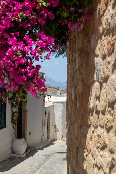 Narrow lane with purple flowers and white houses in Lindos on Gr — Stock Photo, Image