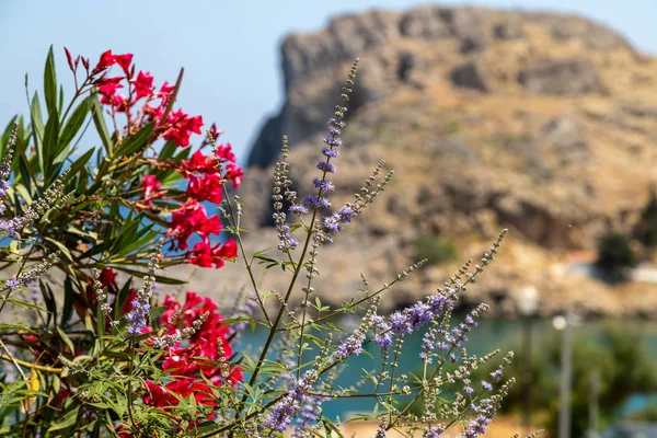 Vista panorámica de la bahía de Saint Pauls en Lindos, isla de Rodas, Grecia — Foto de Stock