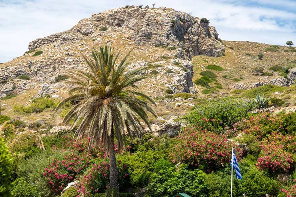 Vista al paisaje con palmera en primer plano y roca en el b — Foto de Stock