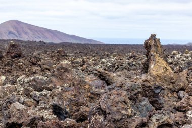 Timanfaya Nationalpa 'daki çok renkli volkanik manzaraya bak