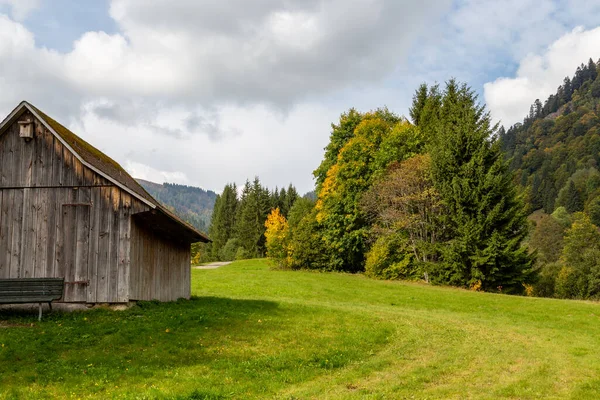 木造コテージ、緑の牧草地、複数の色の木の風景 — ストック写真