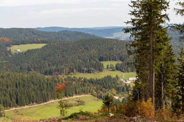 Vista panorâmica da paisagem nas proximidades de Feldberg, Floresta Negra no outono — Fotografia de Stock
