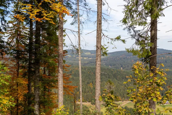 Vista panorâmica da paisagem nas proximidades de Feldberg, Floresta Negra no outono — Fotografia de Stock