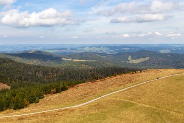 Feldberg Kulesi 'nden sonbaharda Almanya' da Kara Orman manzarası 
