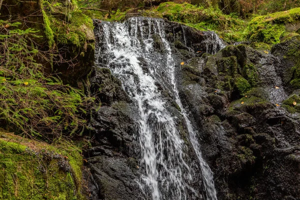Bach Und Wasserfall Auf Einem Wanderweg Bei Blasien Schwarzwald — Stockfoto