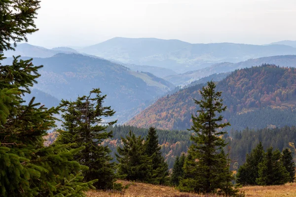 Paisagem Sobre Cume Feldberg Floresta Negra Alemanha — Fotografia de Stock