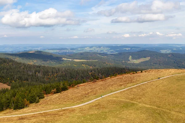 Vista Panorâmica Torre Feldberg Paisagem Floresta Negra Alemanha Outono — Fotografia de Stock