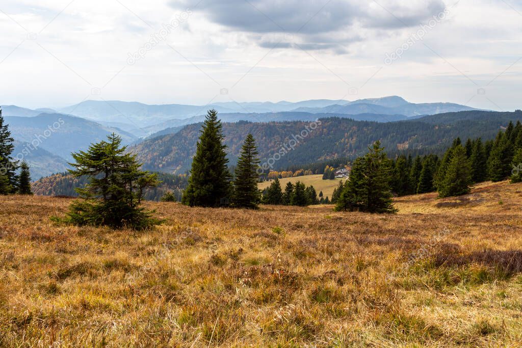 Landscape on the summit of the Feldberg, Black Forest, Germany
