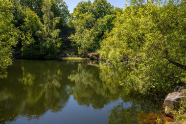 Lemberg Dağı 'ndaki gümüş göl manzaralı, Rhineland-Palatinate, Almanya