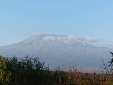 Gün doğumunda Kenya 'daki Kilimanjaro volkanı.