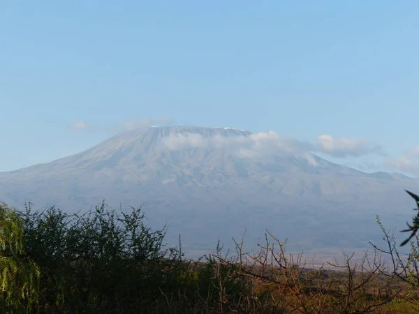 Kilimandzsáró Vulkán Kenyában Napkeltekor — Stock Fotó