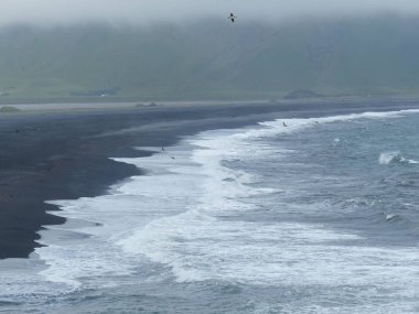 İzlanda 'da siyah kumlu ıssız bir sahil.