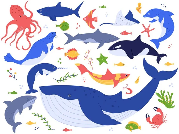 Animales del océano. Lindos peces, orca, tiburón y ballena azul, animales marinos y criaturas marinas conjunto de vectores de ilustración. Paquete de mundo submarino. Colección de clipart de algas, algas y plantas acuáticas — Vector de stock