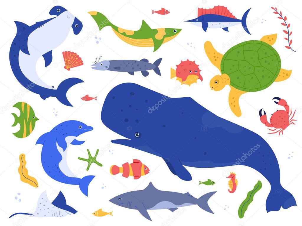 Sea animals species. Ocean animals in their natural habitat. Cute whale, dolphin, shark and turtle vector illustration set. Undersea world pack. Water plants seaweed and algae collection