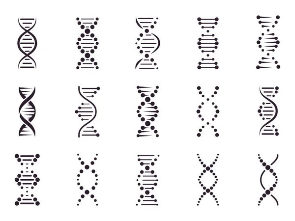 Elementos modelo de ADN. Química conceito estrutura cromossomo espiral, microbiologia genética, estrutura hélice molécula, ciência médica elementos de DNA isolado conjunto de ícones vetoriais. Riscas de ácido desoxirribonucleico —  Vetores de Stock