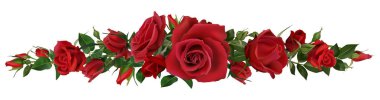 Gerçekçi kırmızı güller sınırı. Çiçek açan elementler, güzel yapraklar ve düğün kartı ve davetiye vektör illüstrasyonu için burgeon çiçeği bileşimi