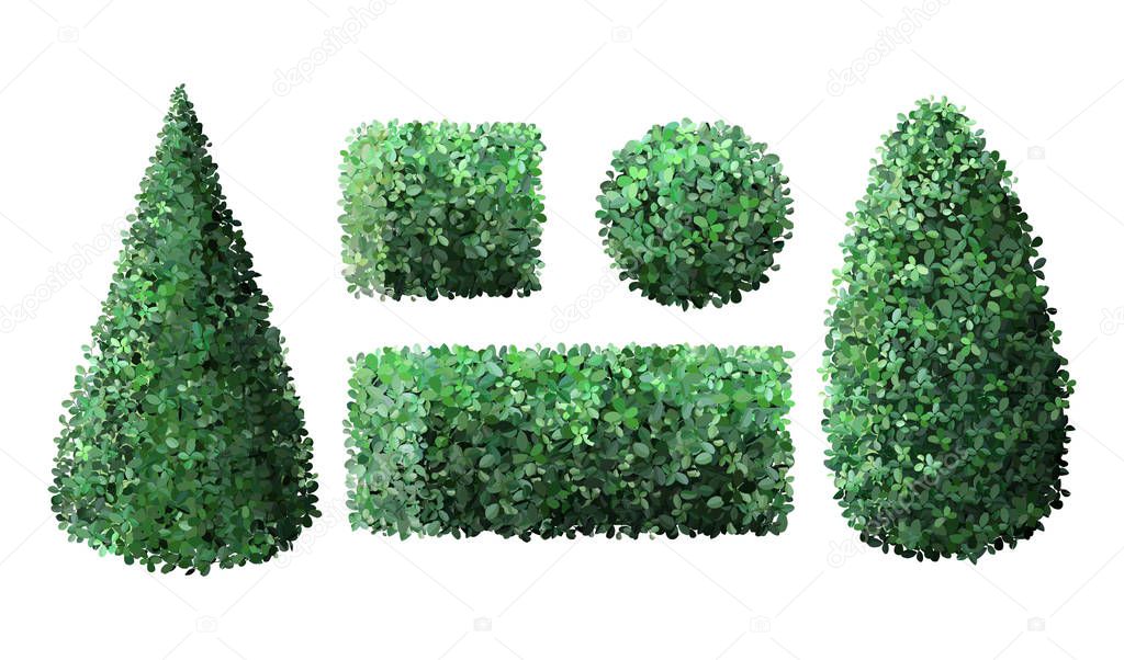 Realistic garden bushes. Topiary gardener fence, geometrical tree crown bush foliage nature green seasonal shrub, green fence vector illustration set