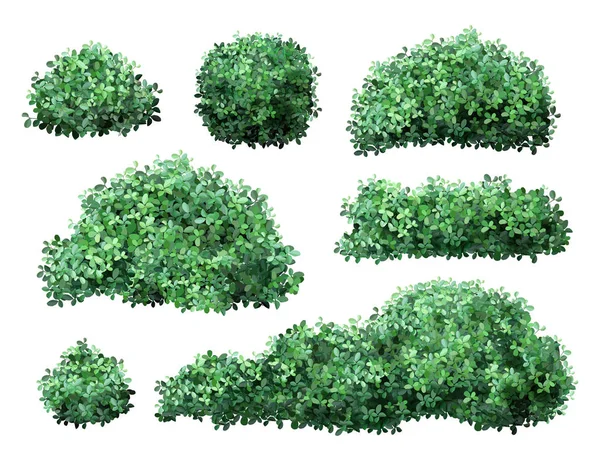Realistic garden shrub. Nature green seasonal bush, boxwood, floral branches and leaves, tree crown bush foliage. Garden green fence vector illustration set — Stock vektor