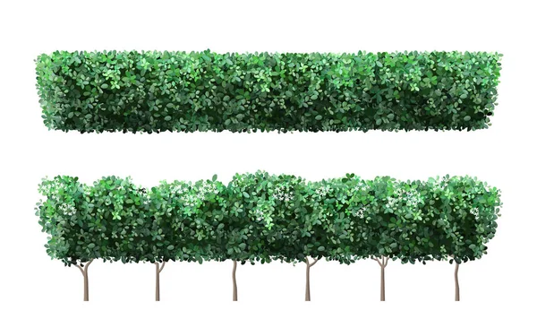 Realistic garden plant fence. Nature green seasonal bushes, tree crown bush foliage and green fence with cute flowers. Garden shrub vector illustration set — Stock vektor