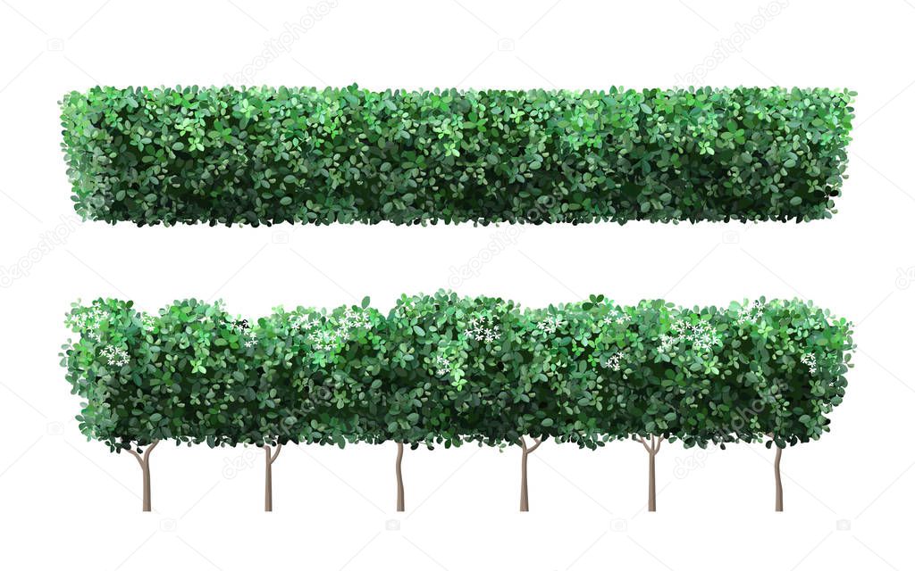 Realistic garden plant fence. Nature green seasonal bushes, tree crown bush foliage and green fence with cute flowers. Garden shrub vector illustration set