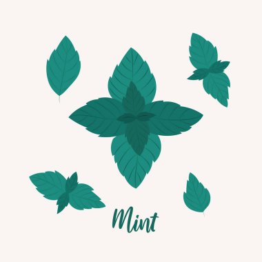 Vektör nane yaprakları