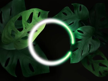 3 boyutlu Neon çerçeve çerçevesi canavar deliciosa yeşil yaprakları üzerine yuvarlak ve fotokopi alanı ile siyah arkaplan. Palmiye yaprağı egzotik orman eğilimli parlayan kompozisyon, 3 boyutlu soyut çizimi minimal illüstrasyon.