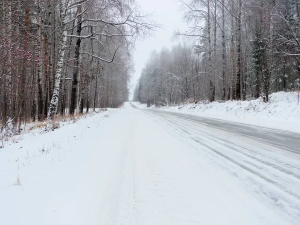 Ormandaki kırsal yol karla kaplı. Karlı bir yolda yolculuk bir kış günü ormanın içinden
