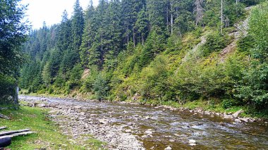 Yeşil Karpat Ormanı 'ndan nehre