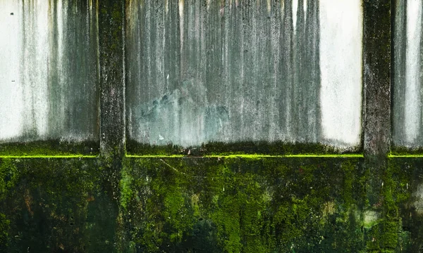 Gammal betong vägg med fläckar och mossa med svamp för abstrakt — Stockfoto