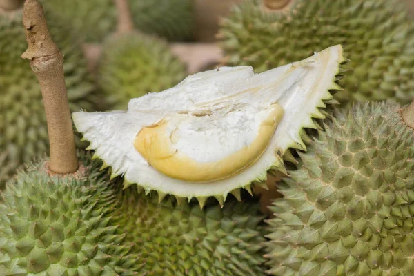 Cloes świeżych owoców durian Puangmanee i cięcia durian żółty. — Zdjęcie stockowe