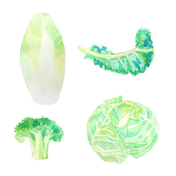 Hand dawn set with watercolor vegetables, raw food, broccoli — Stock Photo, Image