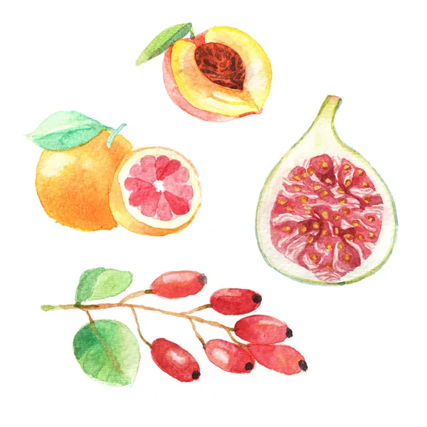 Ensemble d'aube à la main avec fruits aquarelle, nourriture fraîche, pêche — Photo