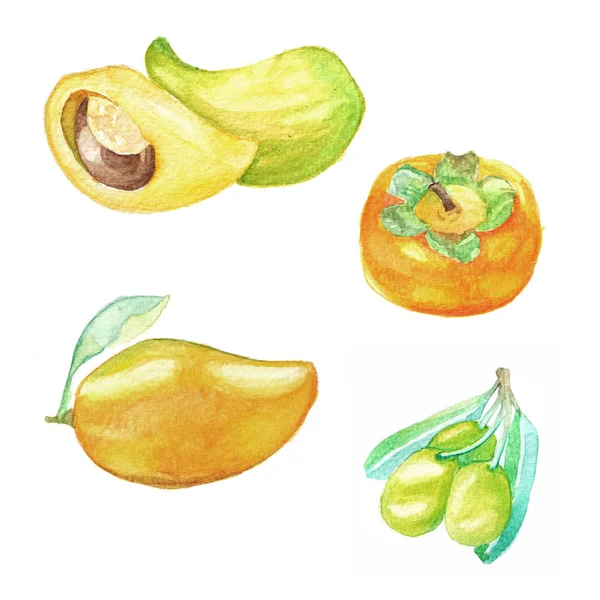 Set amanecer a mano con frutas acuarela, comida fresca, mango, oliva — Foto de Stock
