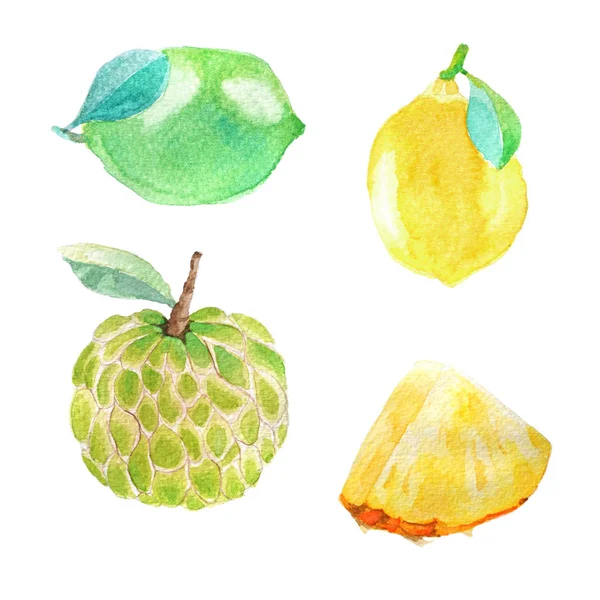 Hand dawn set with watercolor fruits, fresh food, lime, lemon — Stock Photo, Image