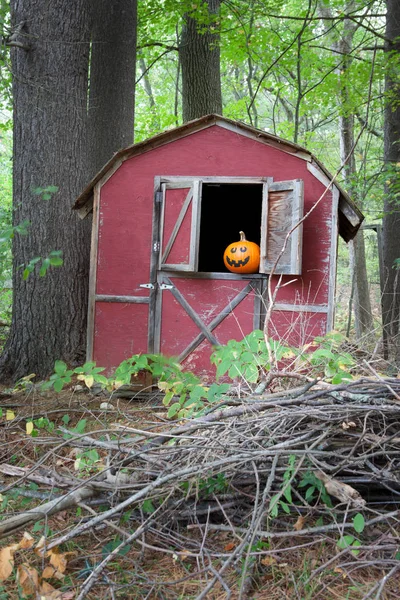 Halloween pompoen in schuur venster — Stockfoto
