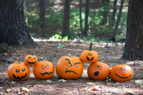 Halloween-Kürbisse im Wald — Stockfoto