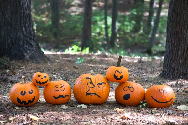 森の中でハロウィーンのパンプキンズ ストック画像