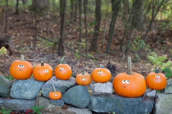 Halloween-Kürbisse auf Felsen — Stockfoto