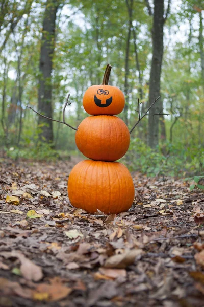 Pumpkin Man in the woods — Stock Photo, Image