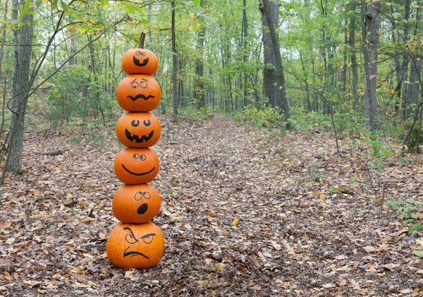 Pile de citrouilles dans les bois Photo De Stock